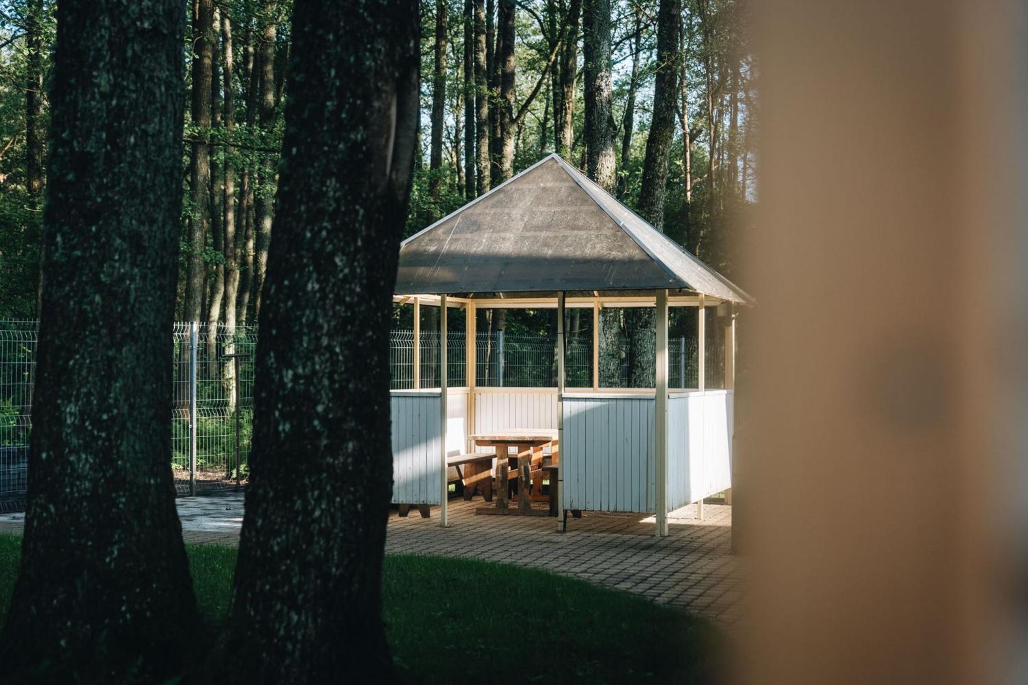 Nemirseta Forest Apartments Palanga Bagian luar foto